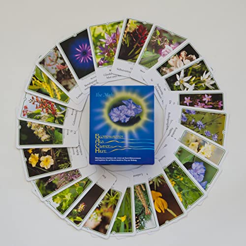 Bachblüten-Karten: Karten - Deutsch. Blüten als Chance und Hilfe: Kartenset mit allen 39 Bachblütenfotos von Maly, Ilse